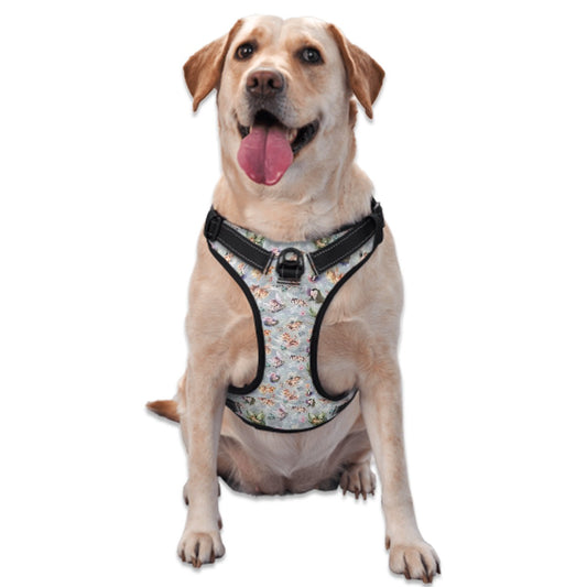 Fairy Themed, Oxford Cloth Pet Harness