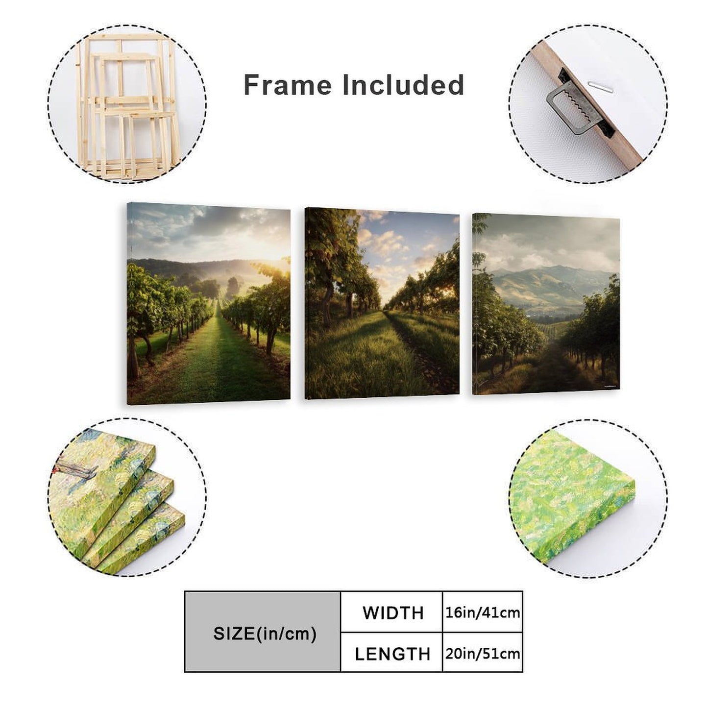 Vineyards Canvas Wall Art -16”x 20” (x3) - Made In USA
