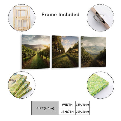 Vineyards Canvas Wall Art -16”x 20” (x3) - Made In USA