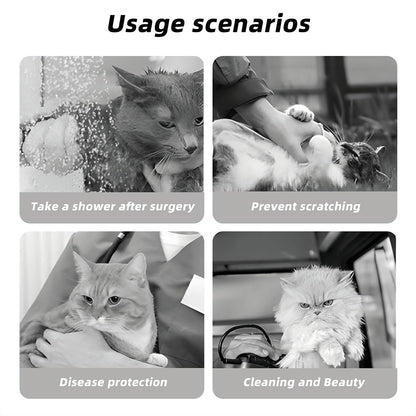 Pet Elizabethan, Pet Medical Collar
