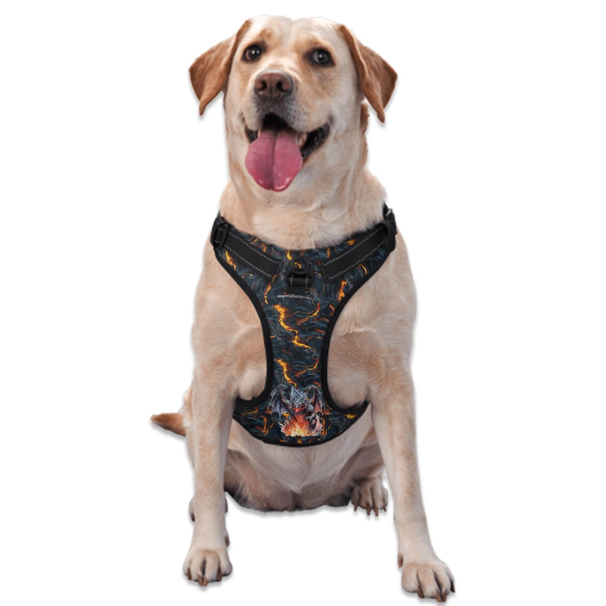 Fire Dragon on Lava, Oxford Fabric Dog Harness