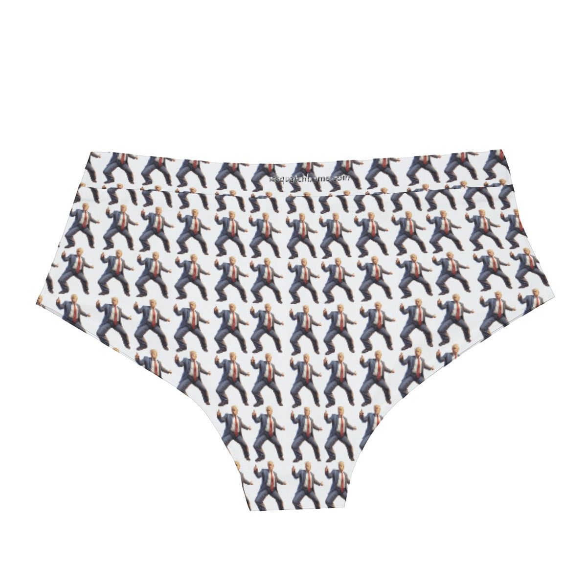 10 Donald Trump Designs, Men’s Polyester Triangle, Low Rise Underwear