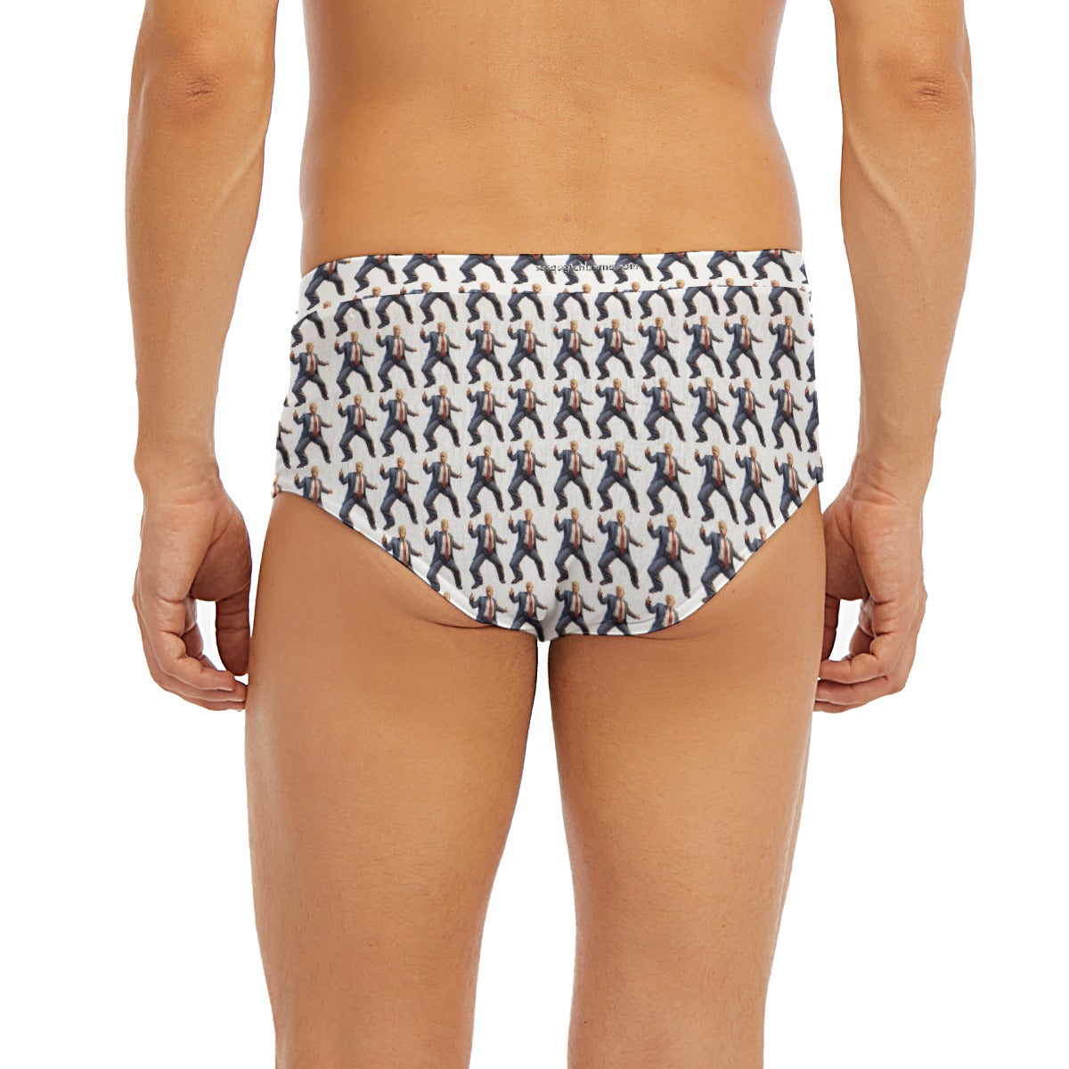 10 Donald Trump Designs, Men’s Polyester Triangle, Low Rise Underwear