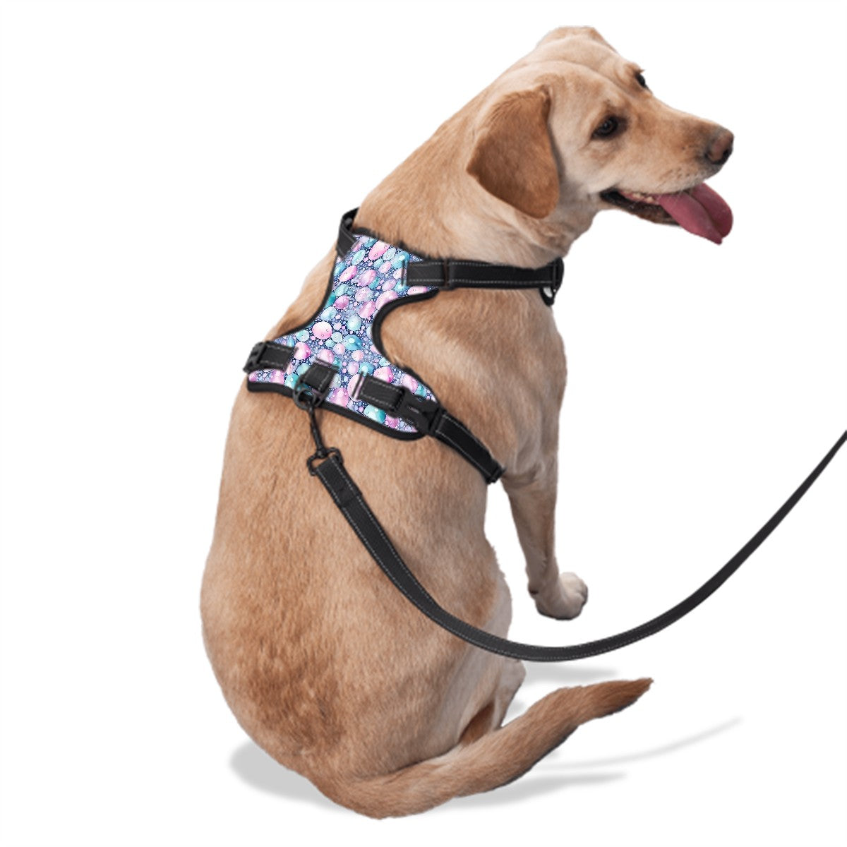 Dragon Love, Oxford Fabric Dog Harness