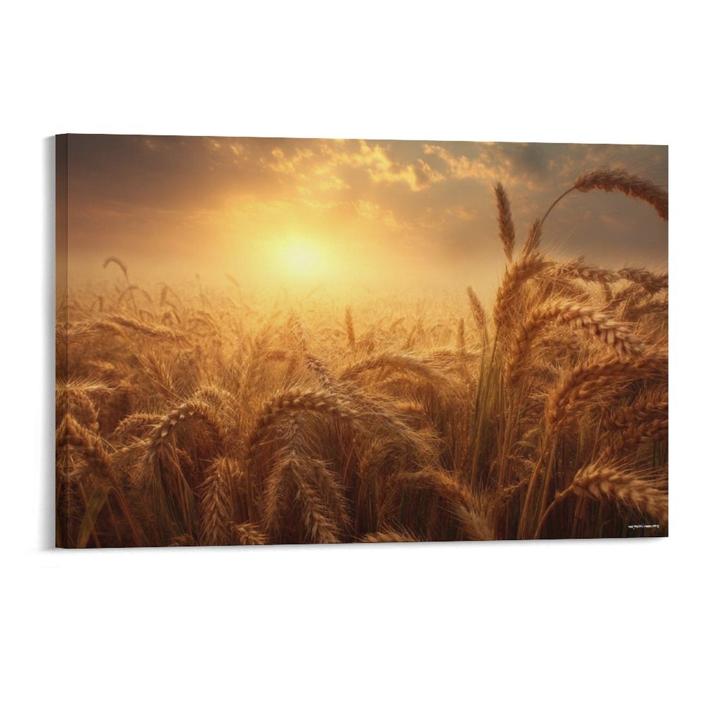 Wheat Sunset, Vintage Framed Canvas Art - 2 Sizes – Made in the USA