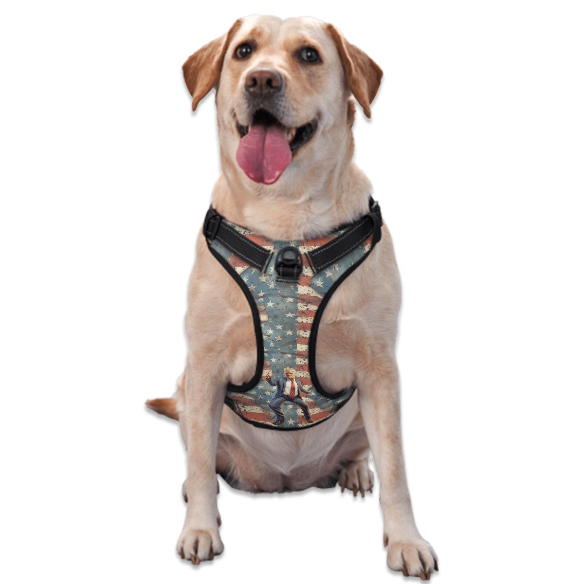 Donald Trump Dancing, Oxford Fabric Dog Harness
