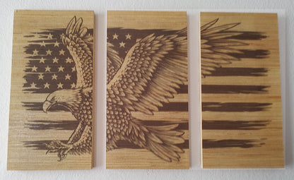 3 Piece Art Board Set - Eagle & Flag - 10" x 15"