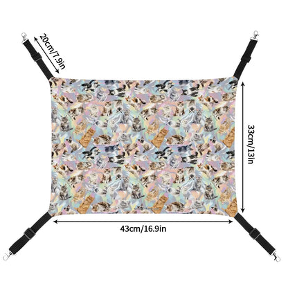 10 Animal Designs, Pet Hammock