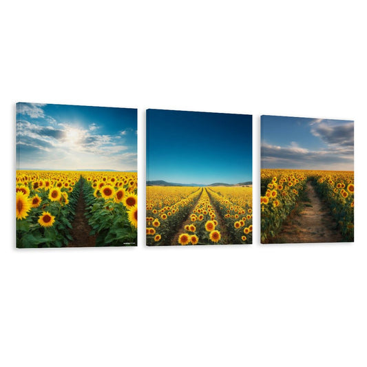 Sunflower Fields Canvas Wall Art -16”x 20” (x3) - Made In USA