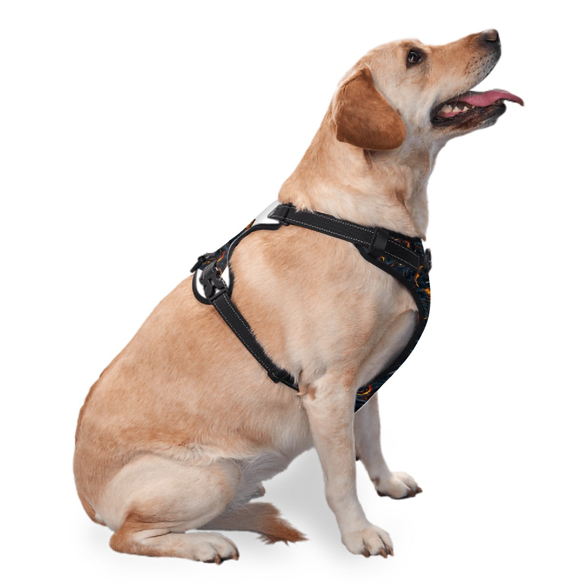 Fire Dragon on Lava, Oxford Fabric Dog Harness