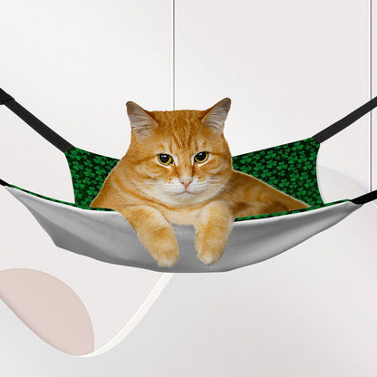 St Patrick Bigfoot / Sasquatch, Pet Hammock