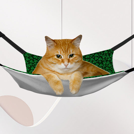 St Patrick Bigfoot / Sasquatch, Pet Hammock