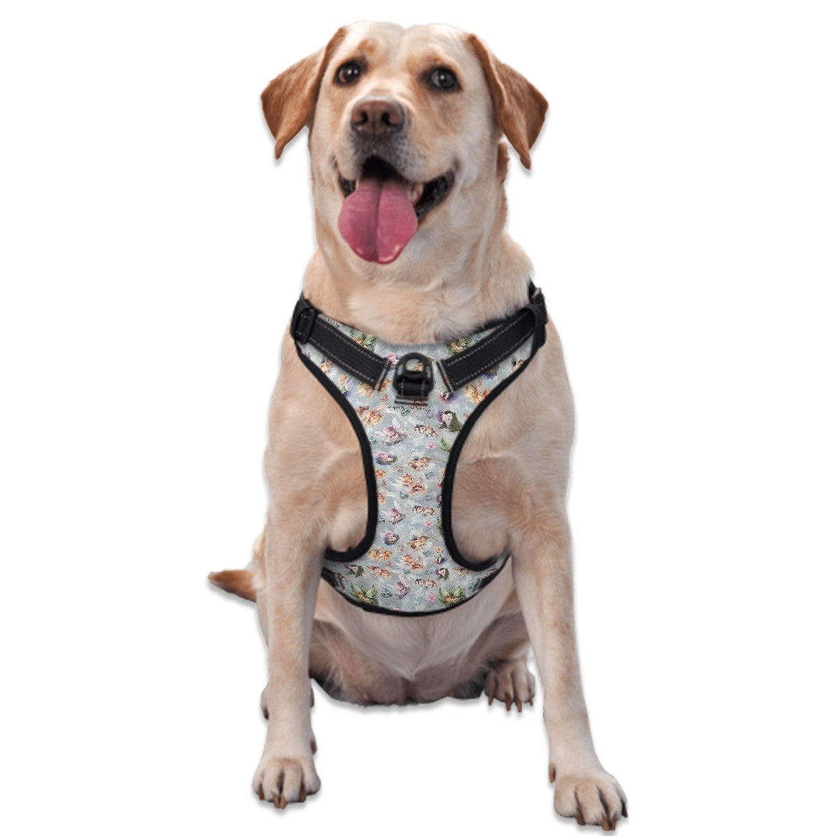 Fairy Themed, Oxford Cloth Pet Harness