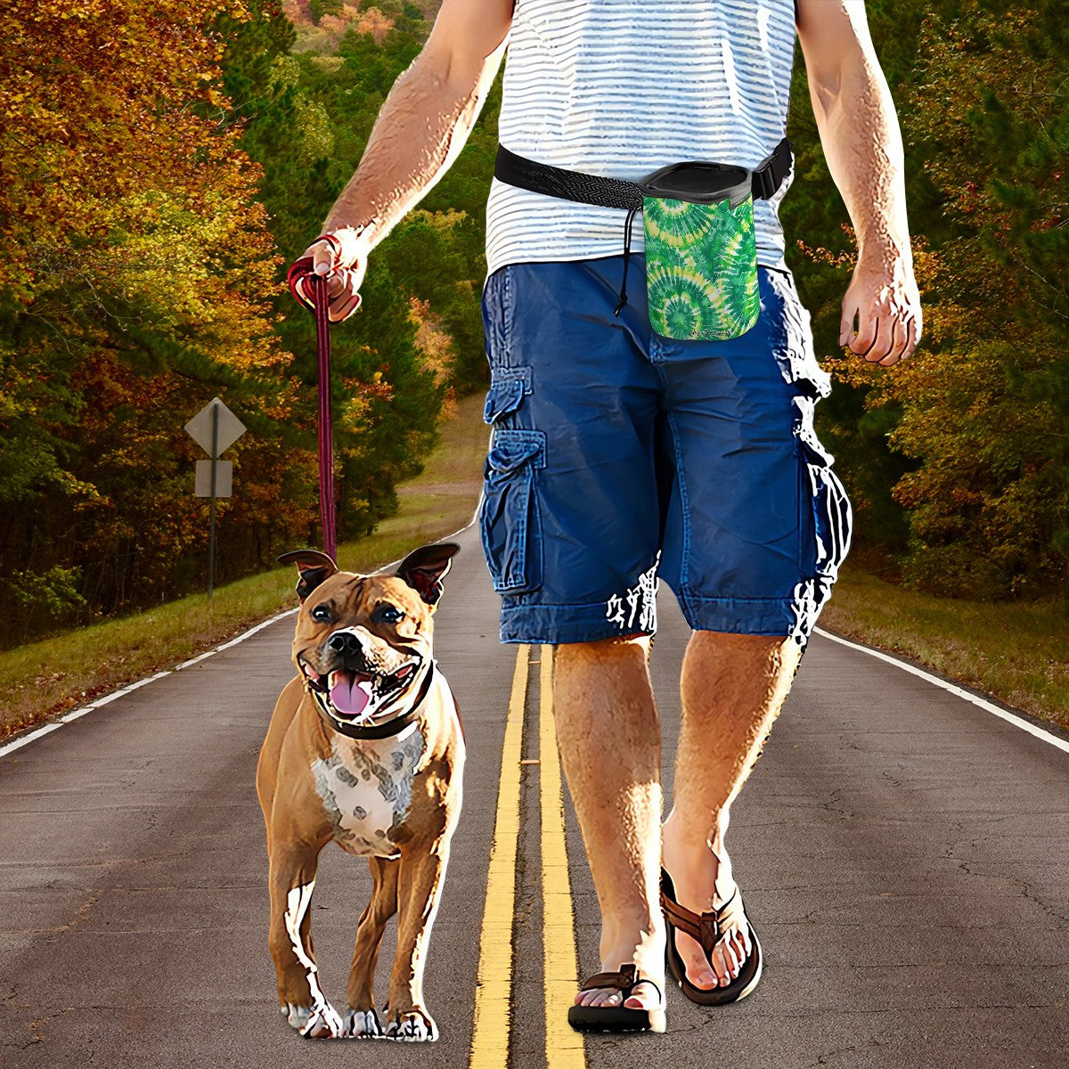 Tie Dye Designs Pet Toy & Treat Pouch