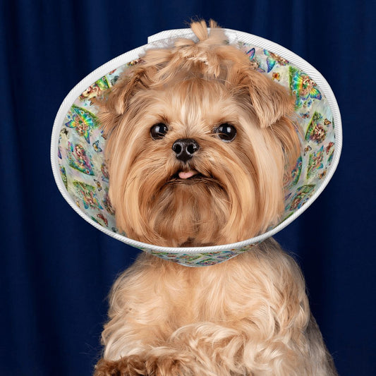 6 Fairy Designs, Pet Elizabethan, Pet Medical Collar