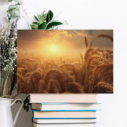 Wheat Sunset, Vintage Framed Canvas Art - 2 Sizes – Made in the USA