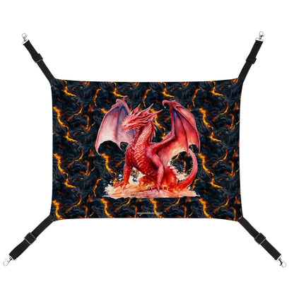 Fire Dragon on Lava, Pet Hammock