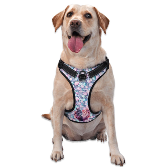 Dragon Love, Oxford Fabric Dog Harness