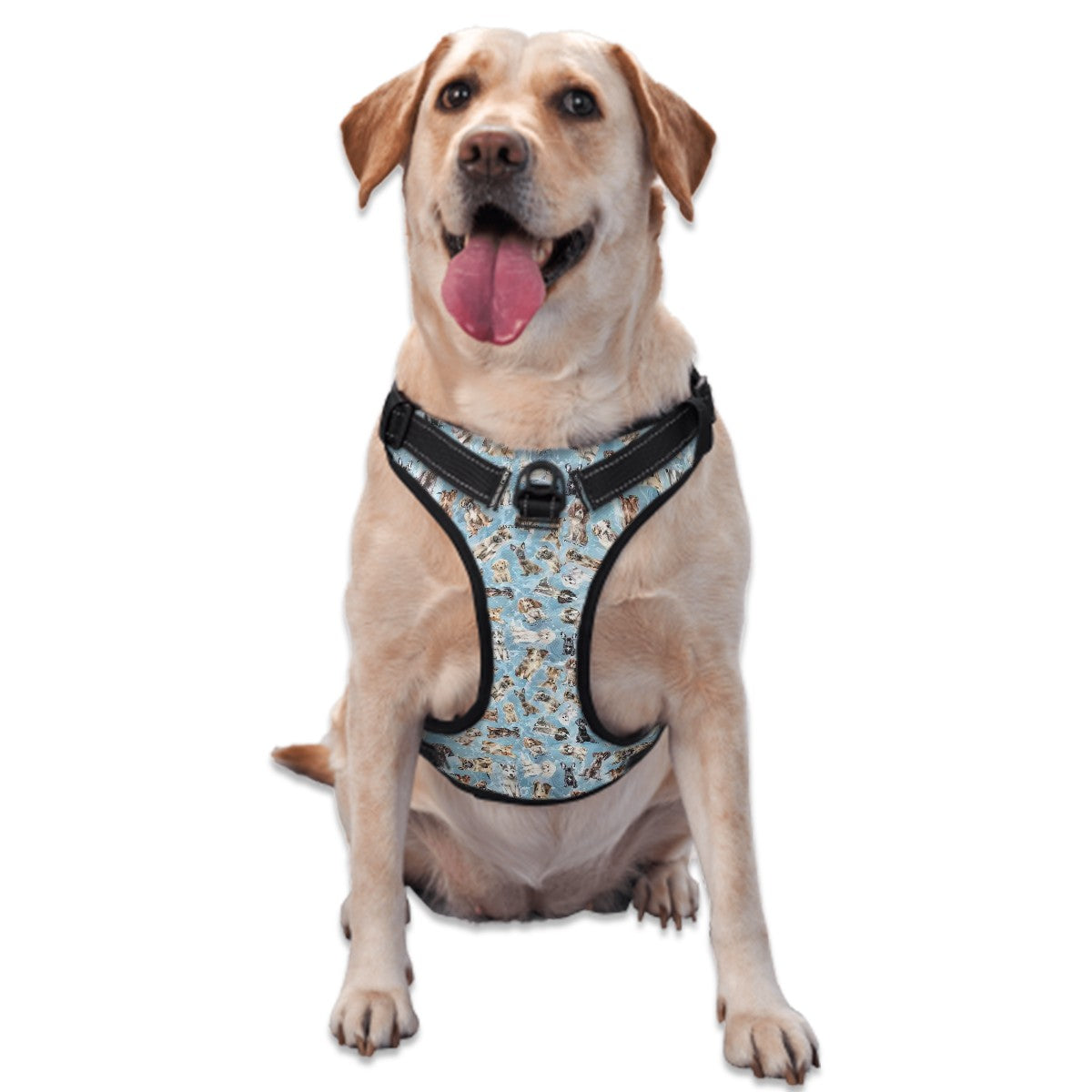 Animal Themed, Oxford Fabric Dog Harness
